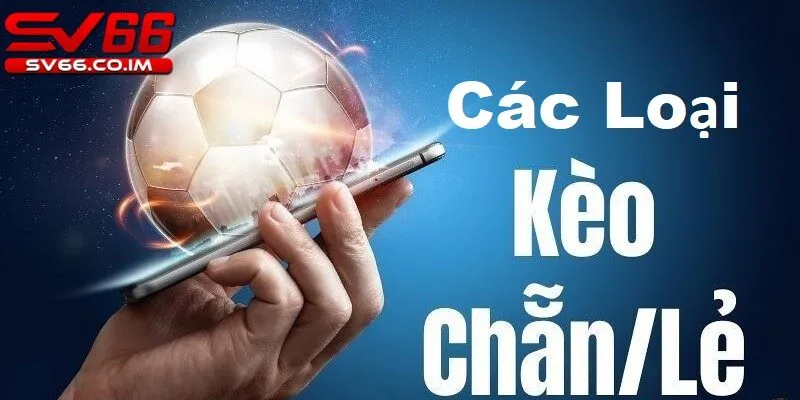 Các loại kèo chẵn lẻ phổ biến tại nhà cái sv66