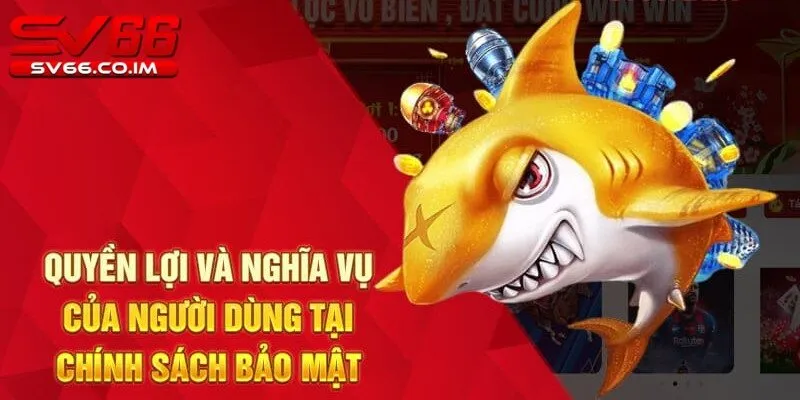 Quyền lợi của người chơi đối với thông tin cá nhân tại sv66 